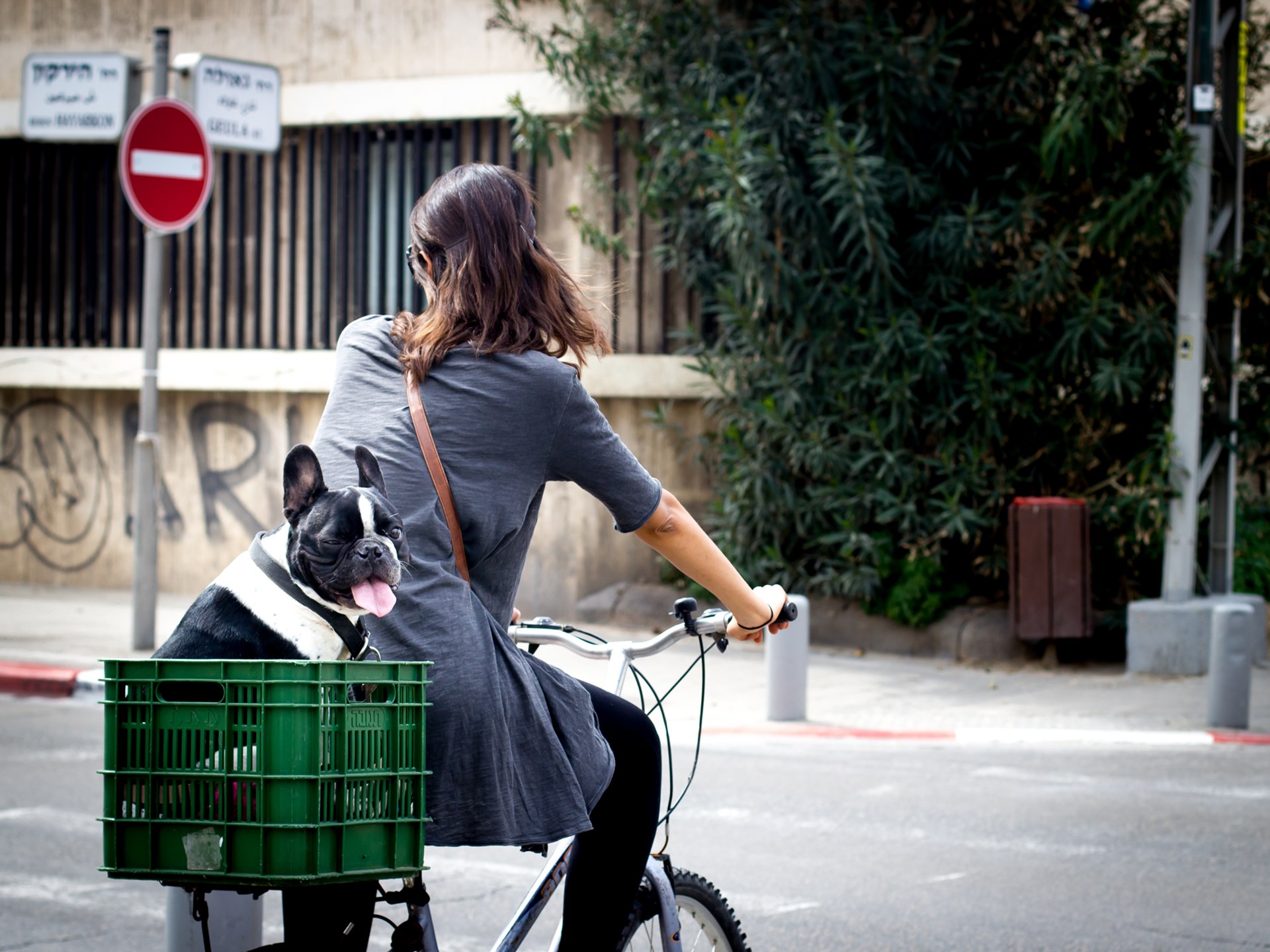 Woman on bike with her dog